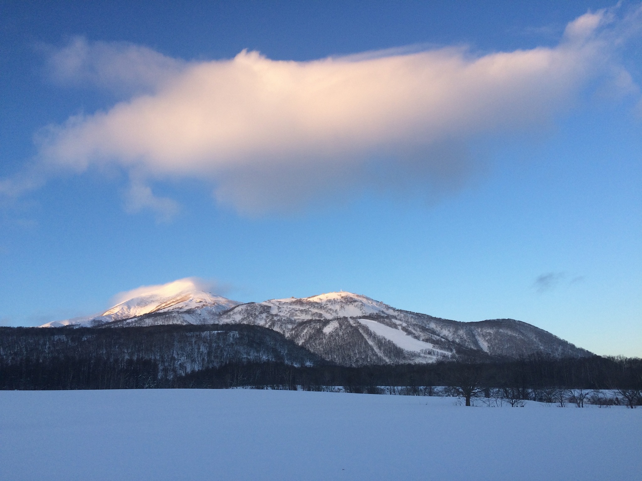 新雪谷安努普利山