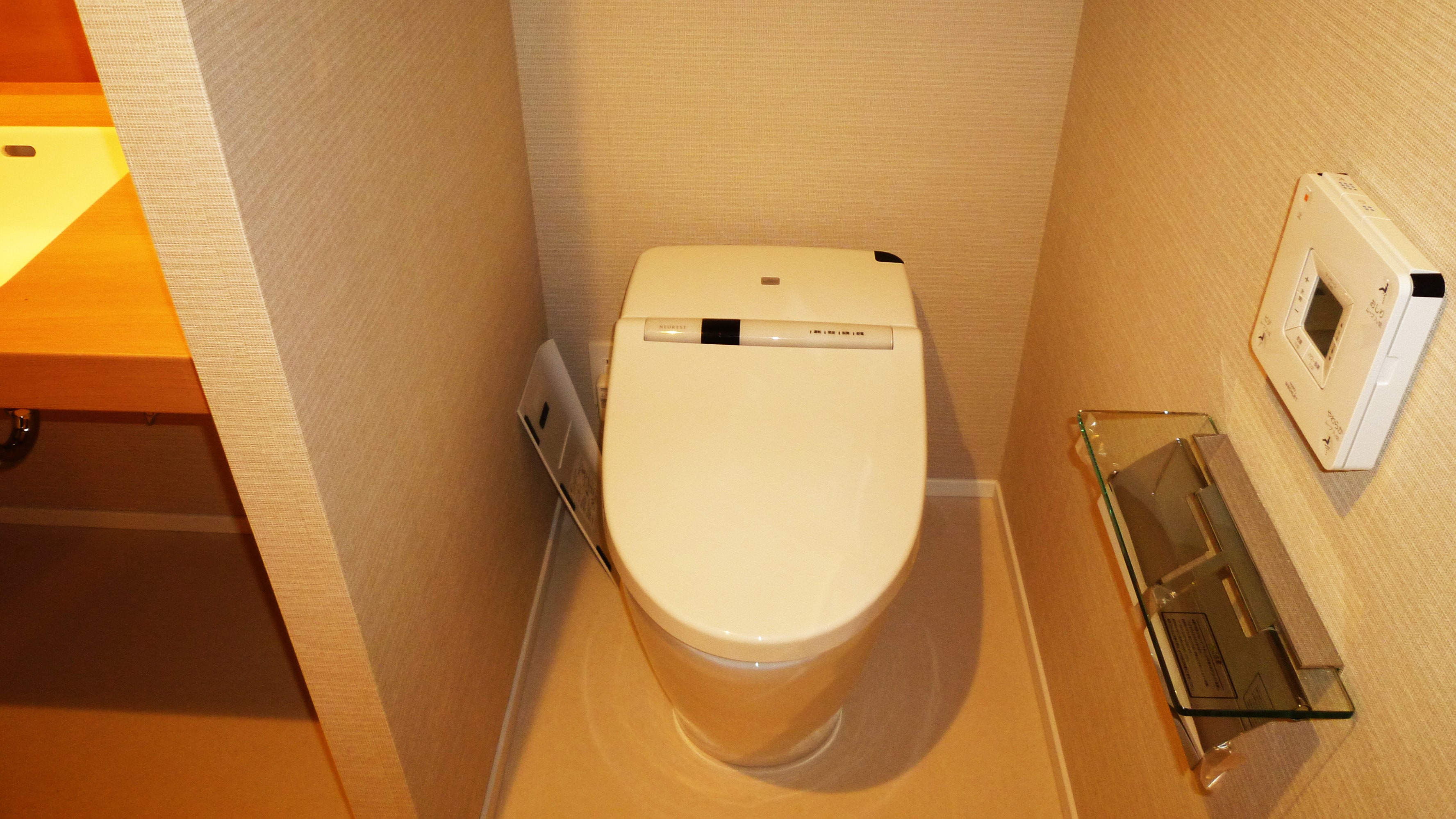 Western-style twin toilet