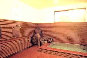 Bathroom (Shiramine Onsen hot spring water)