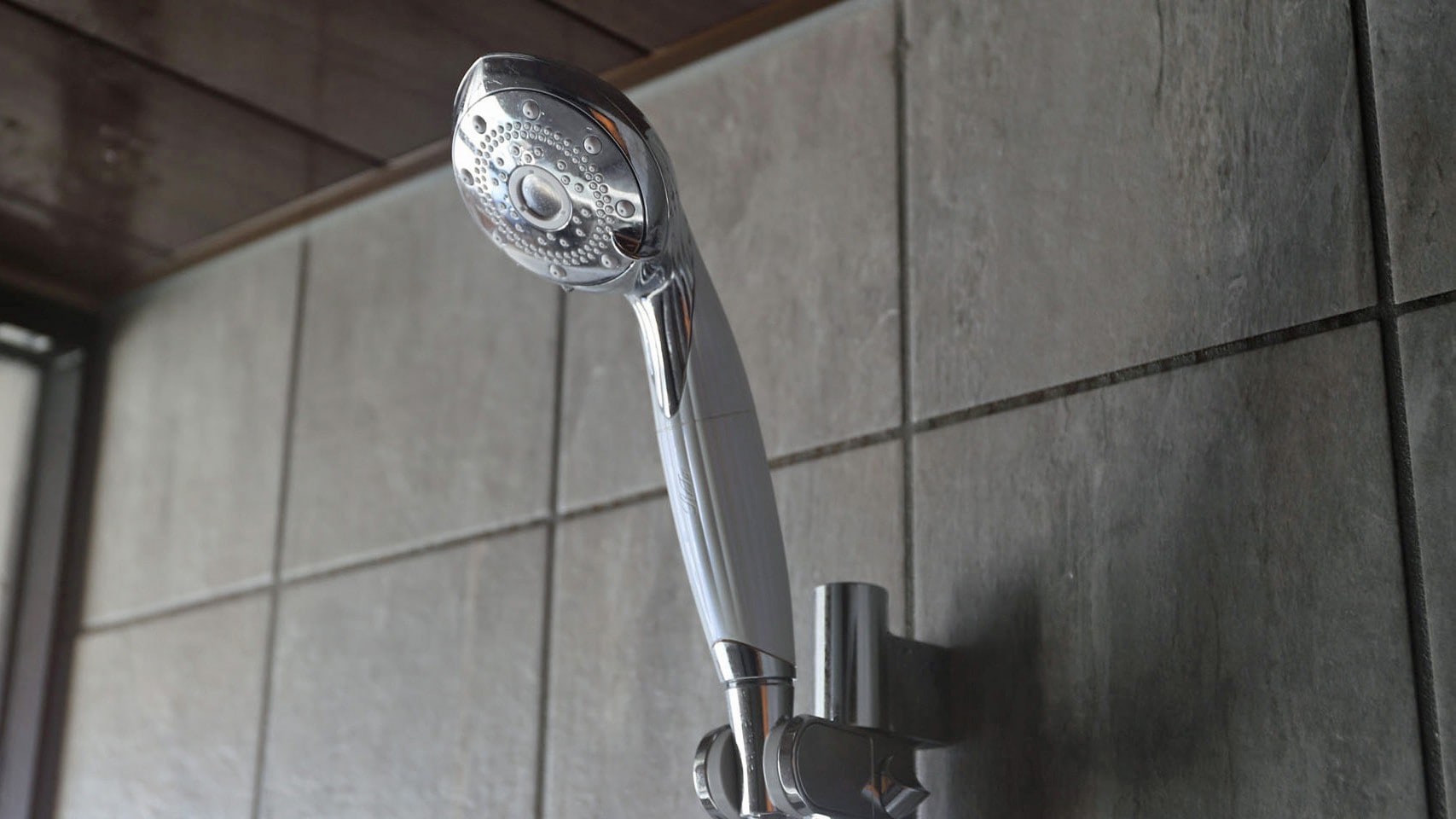 ReFa shower head