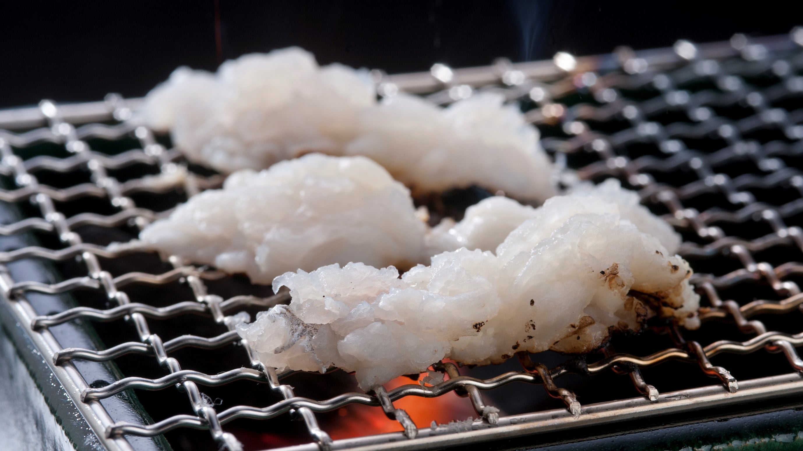 Grilled conger eel