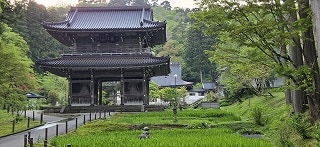 林泉寺　　20260427_172119.jpg