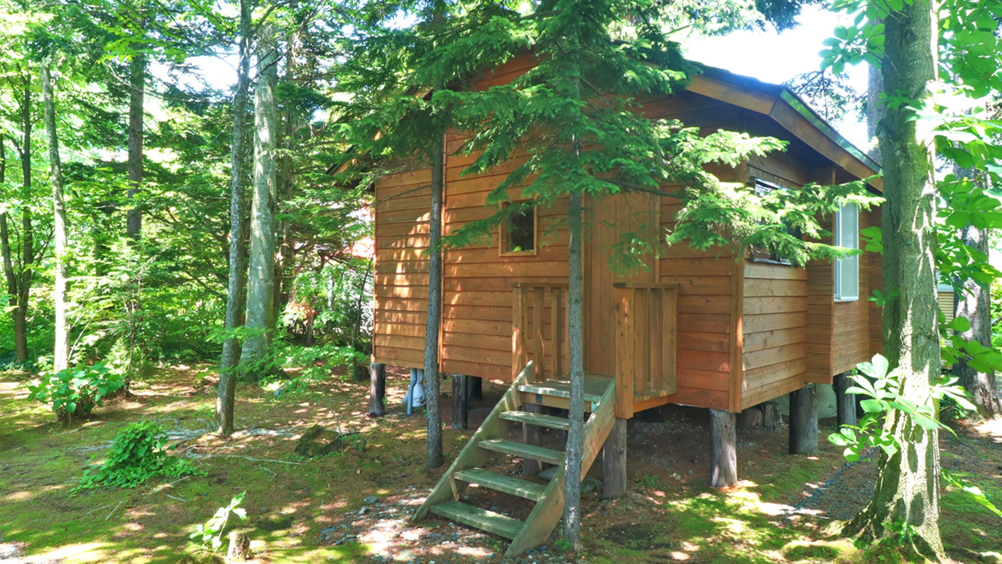 # [Cottage Type A - Exterior] This is a detached cottage located in a forest on a large site that was renovated in 2021.