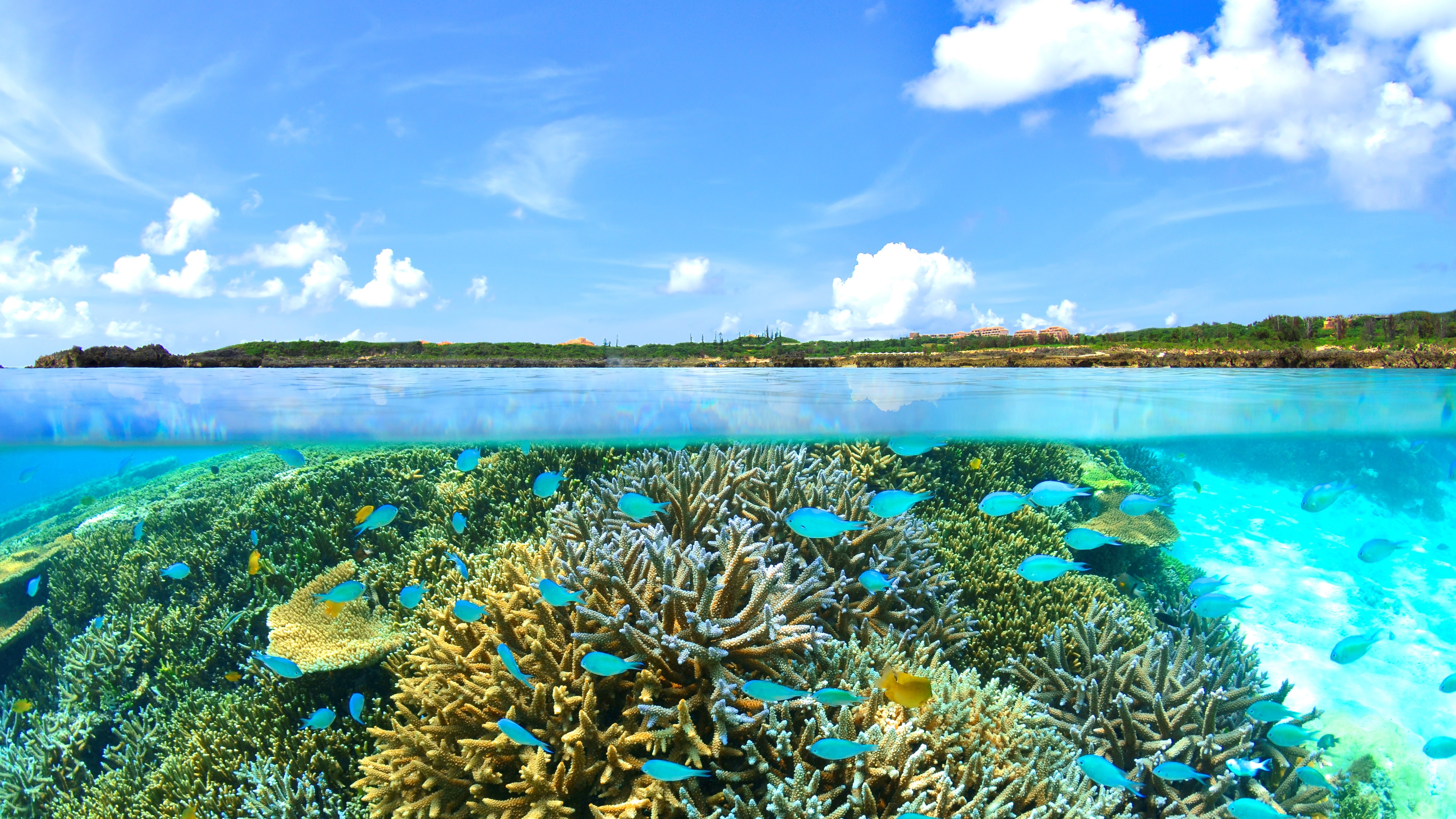 [Shigira Beach (within the resort)] The outstanding transparency that continues on forever is an attraction