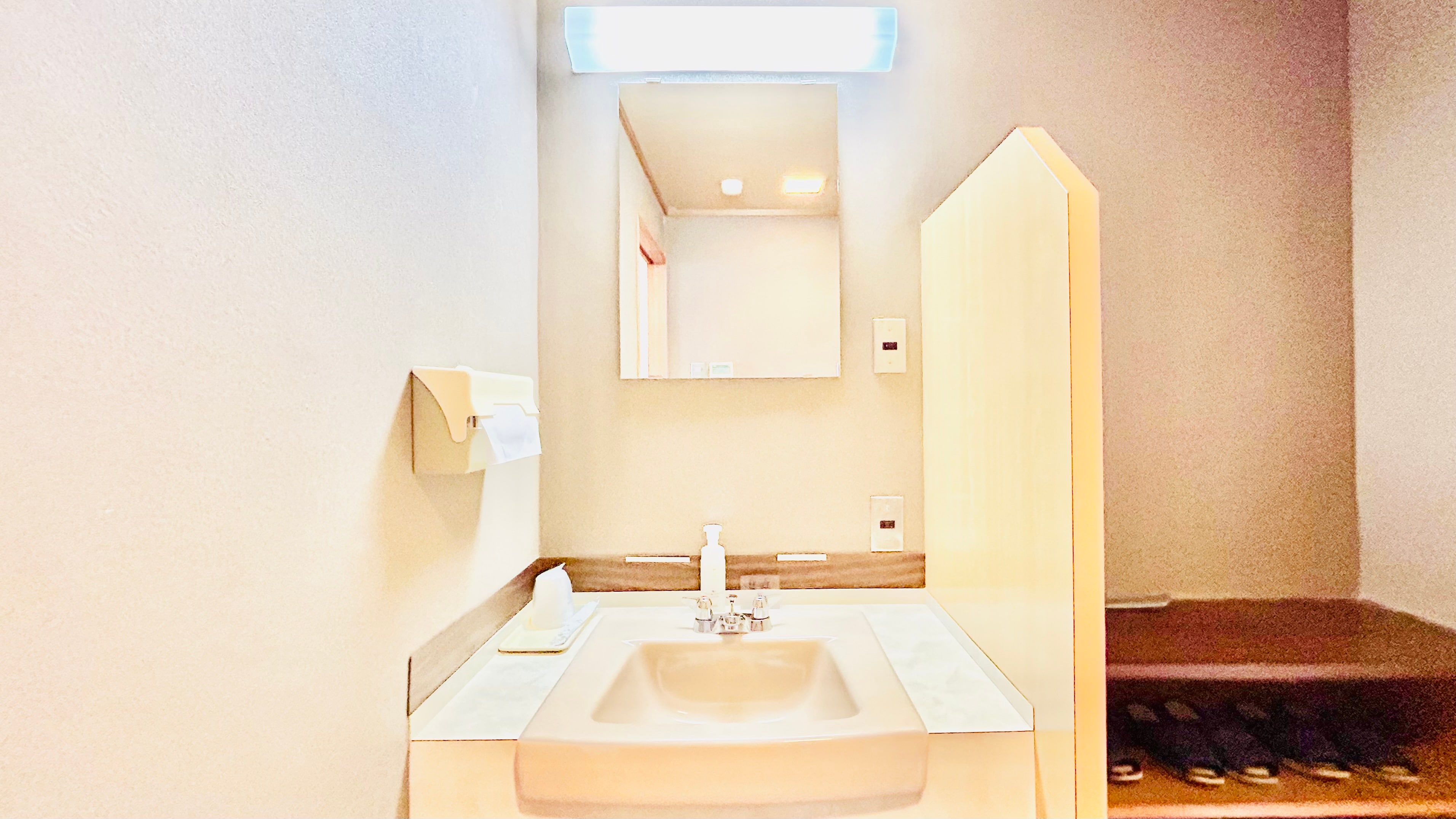 Japanese-style room 10 tatami mats (Ocean view/Non-smoking/With toilet) Maximum 5 people