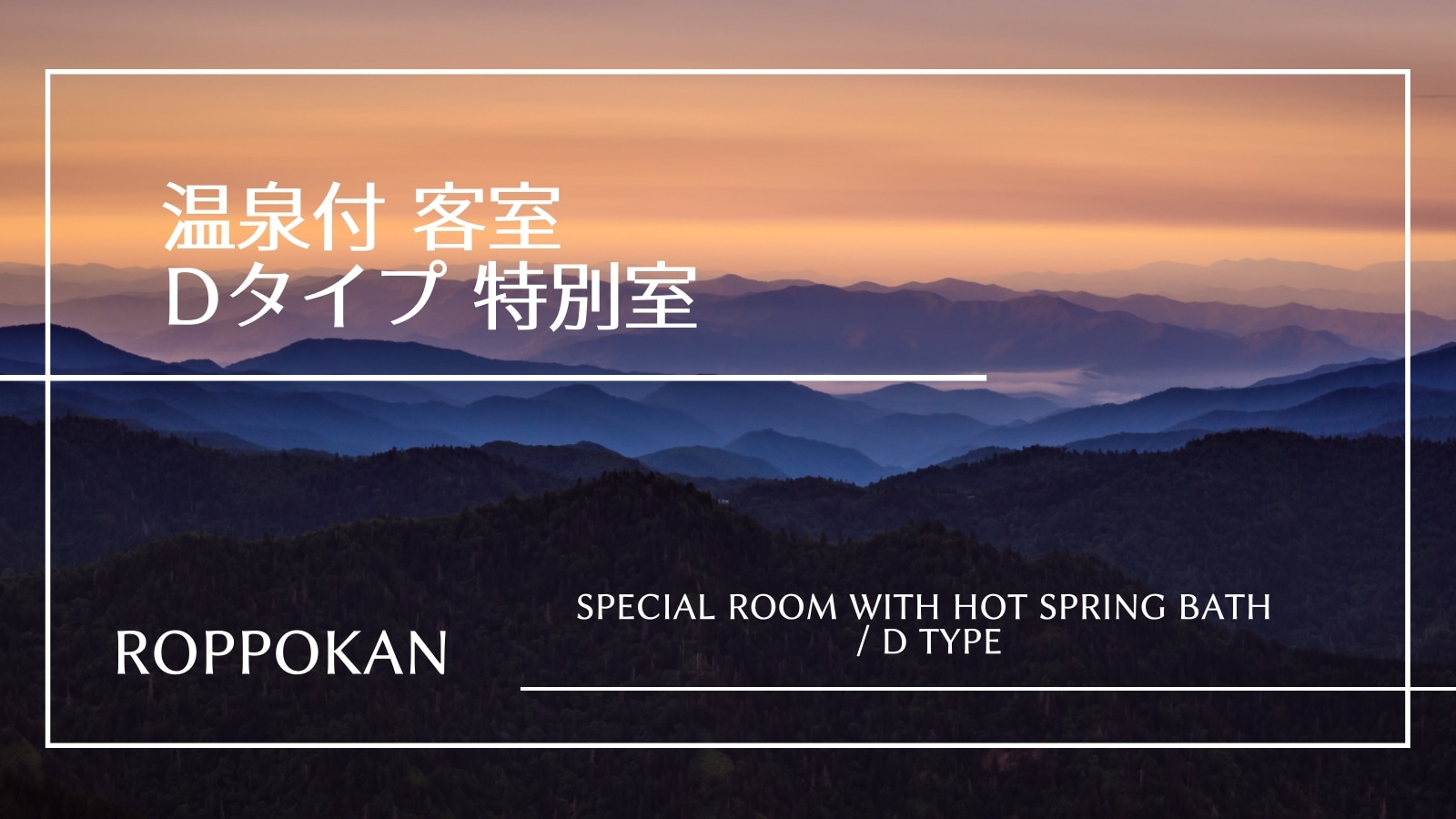 D type special room << Popular guest room with hot spring >> There are 3 types of guest rooms in total.