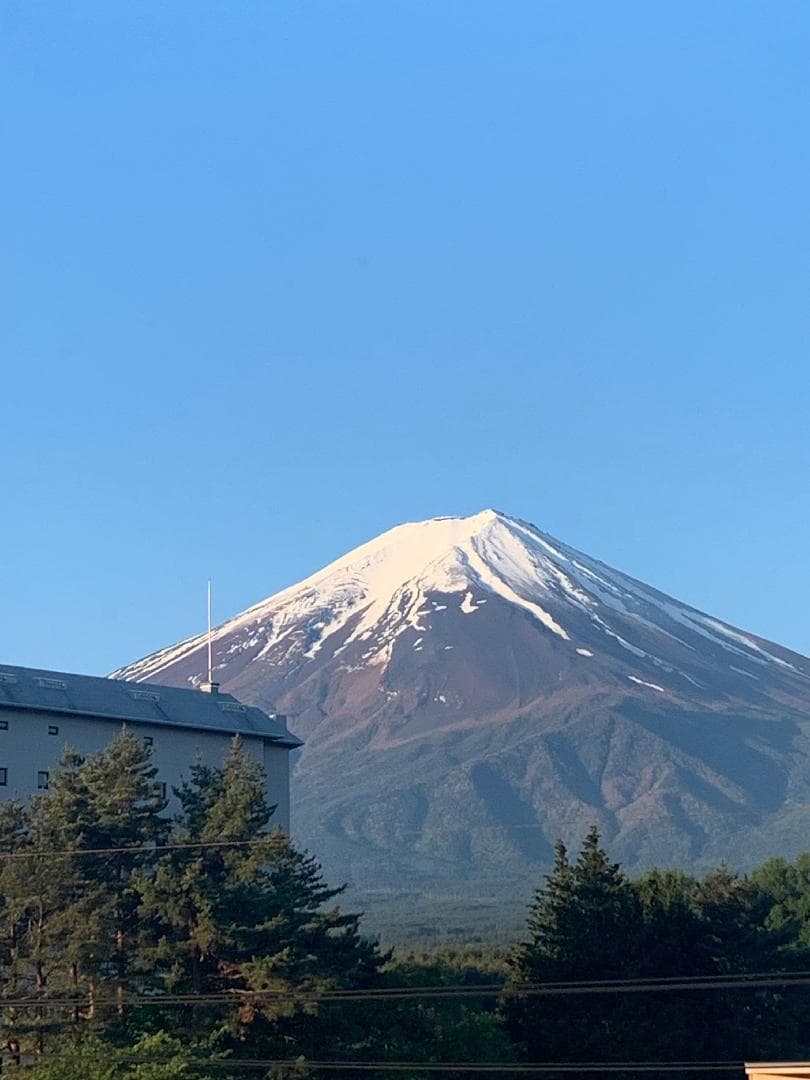 IMG_6587.jpeg