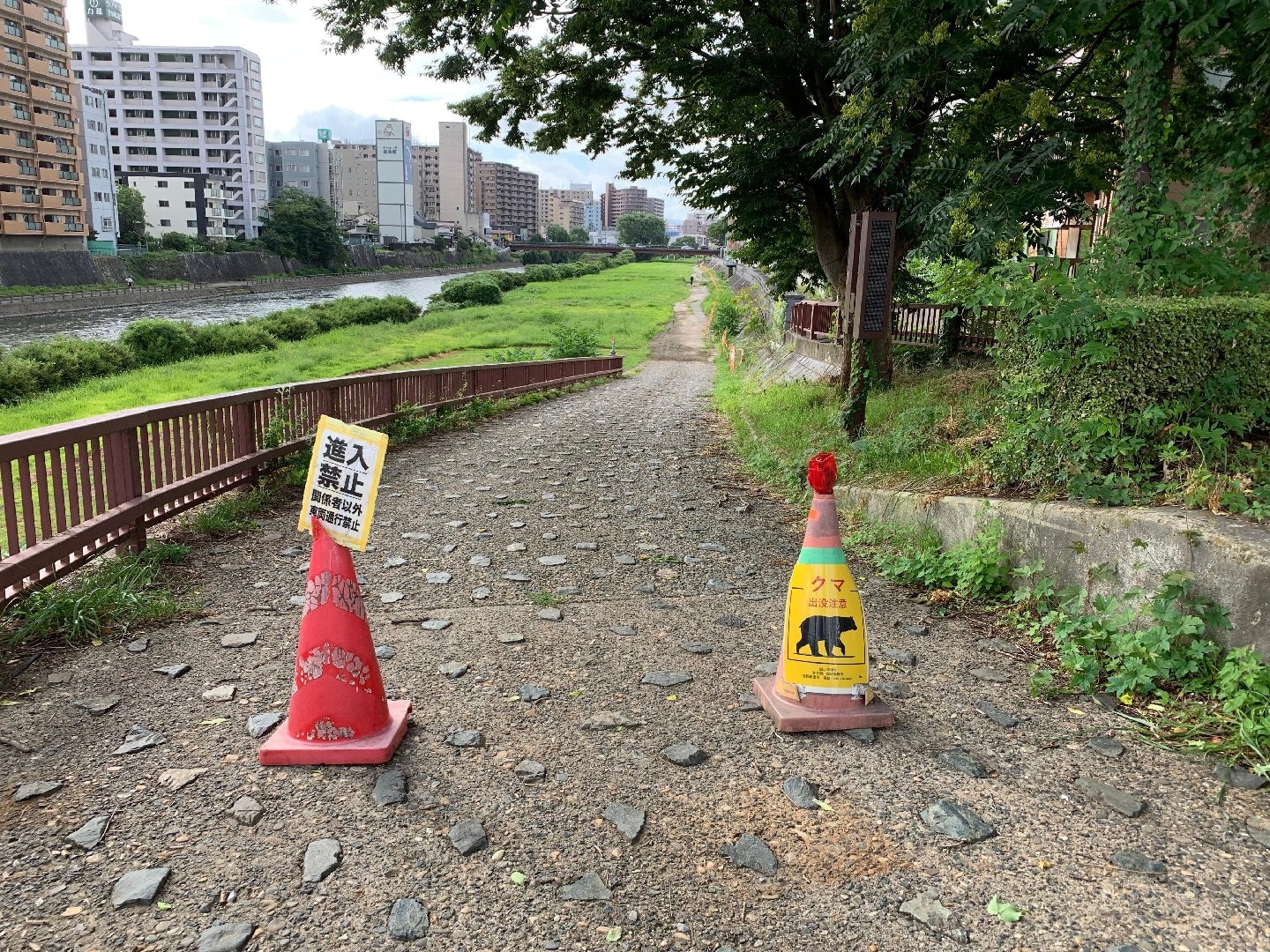775C3BDD-78C7-4D64-8DDD-AFA0E2E88538.jpeg