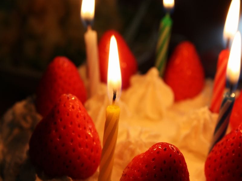 cake