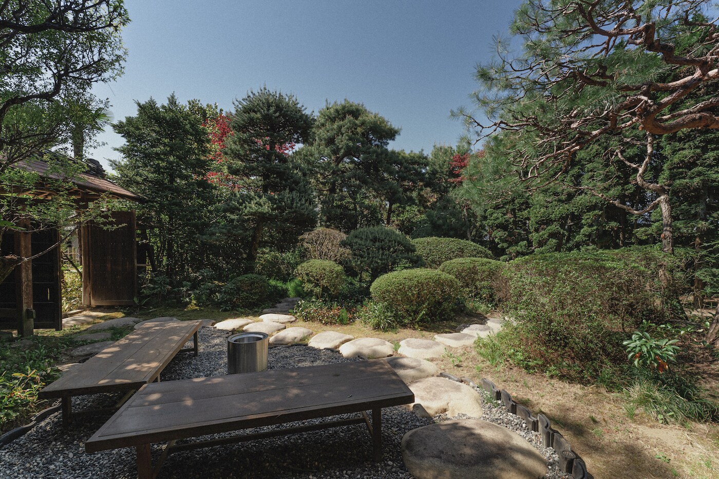 Bonfire area