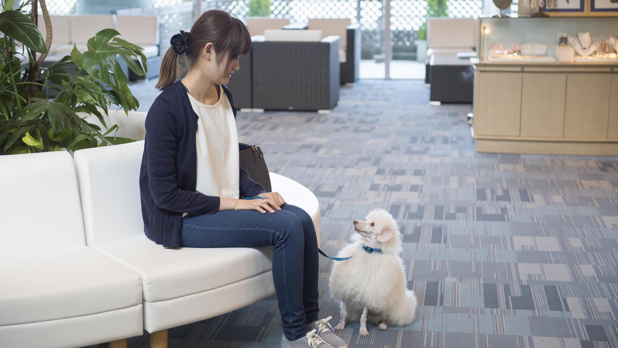 Please relax with your dog in the lobby.