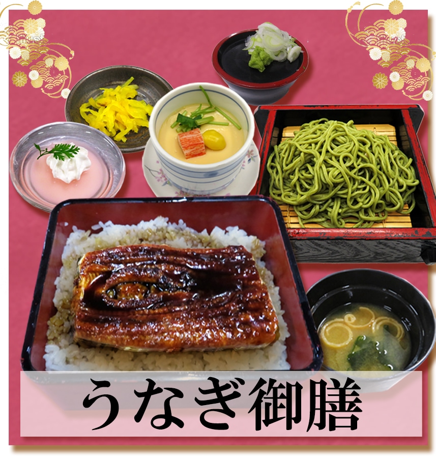鰻魚