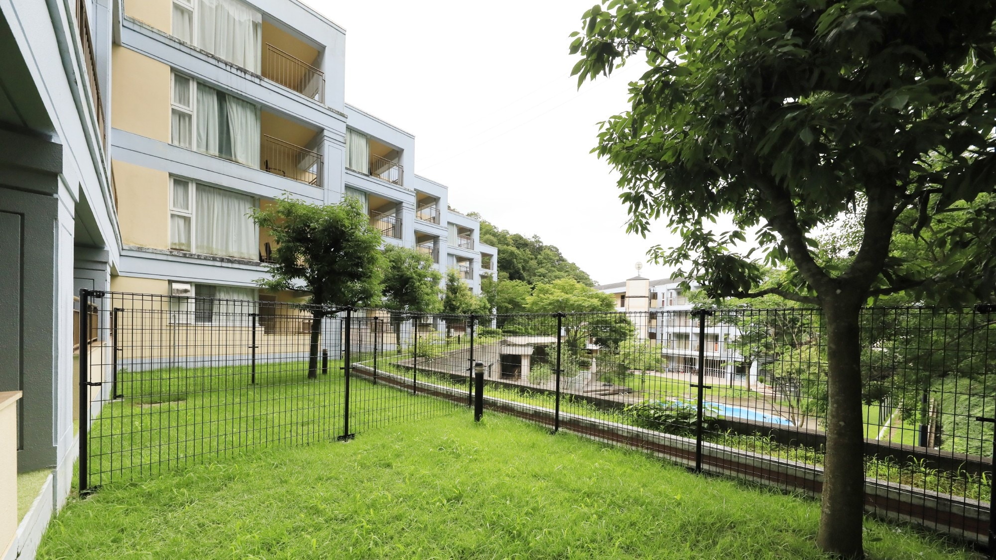 此房間設有一個僅供客人使用的戶外花園（小型狗狗活動區）。