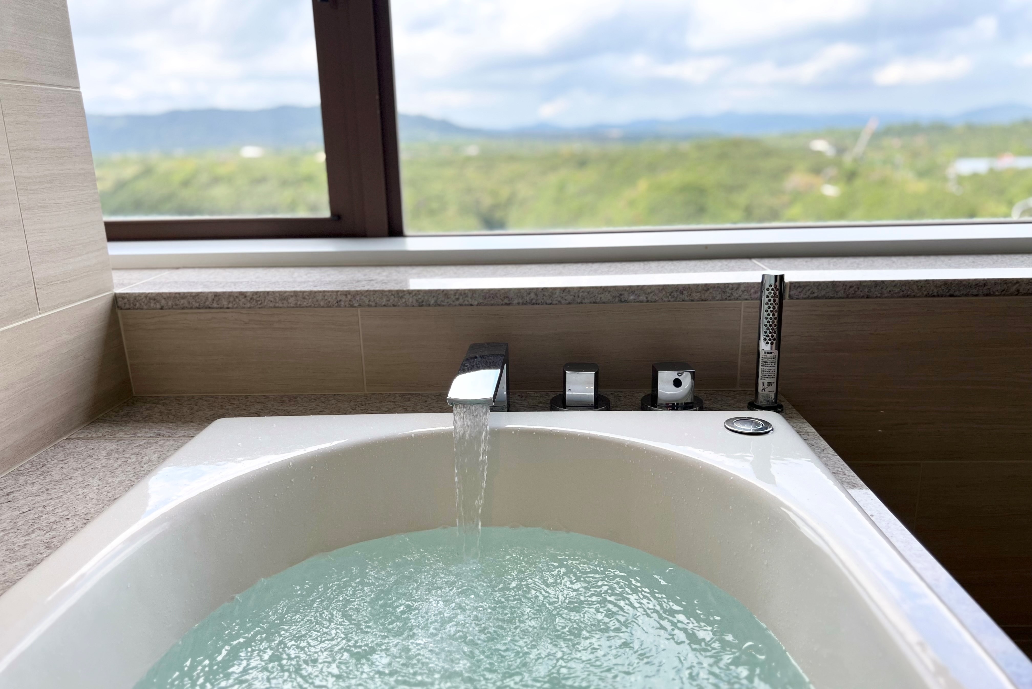 Premium Suite Image