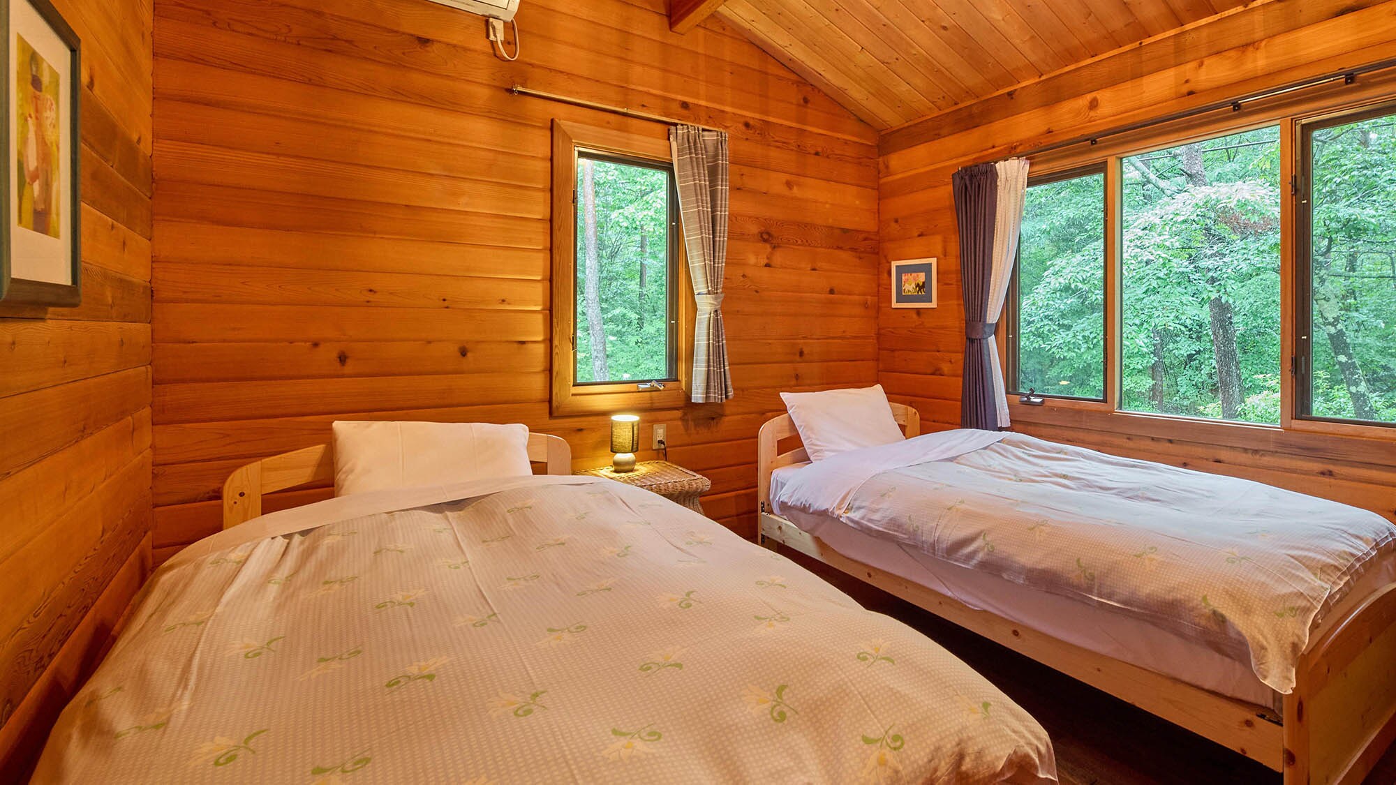 ・[Ann] A bedroom with a high ceiling and a spacious feel. There is a large closet.
