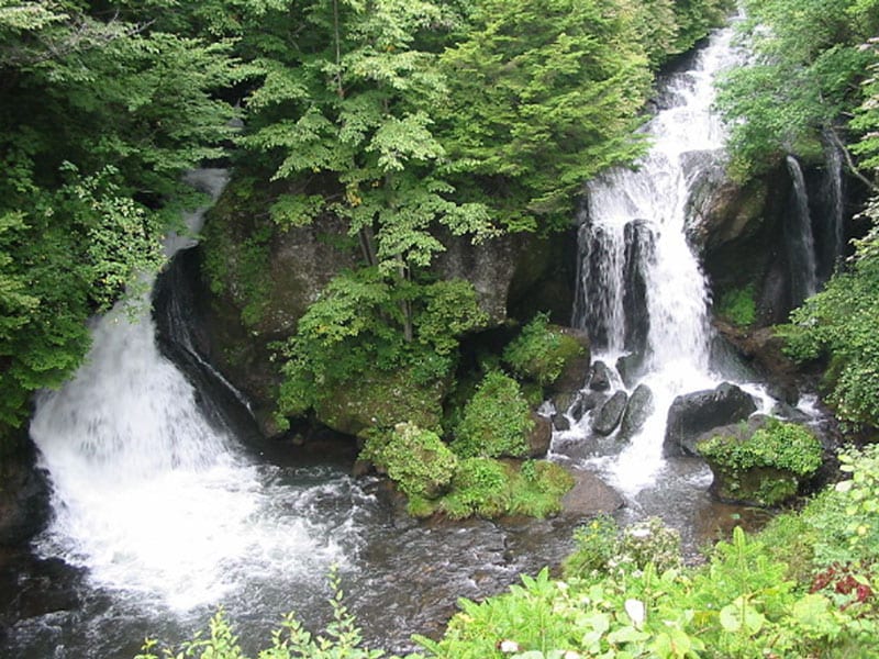 Kehijauan segar di Air Terjun Ryuzu