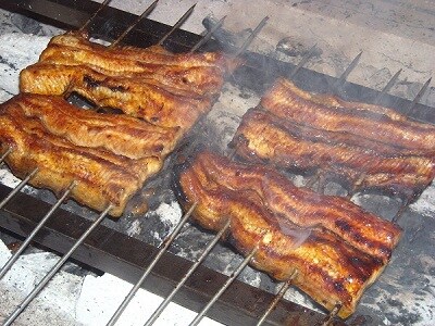 炭火燒烤！烤鰻魚