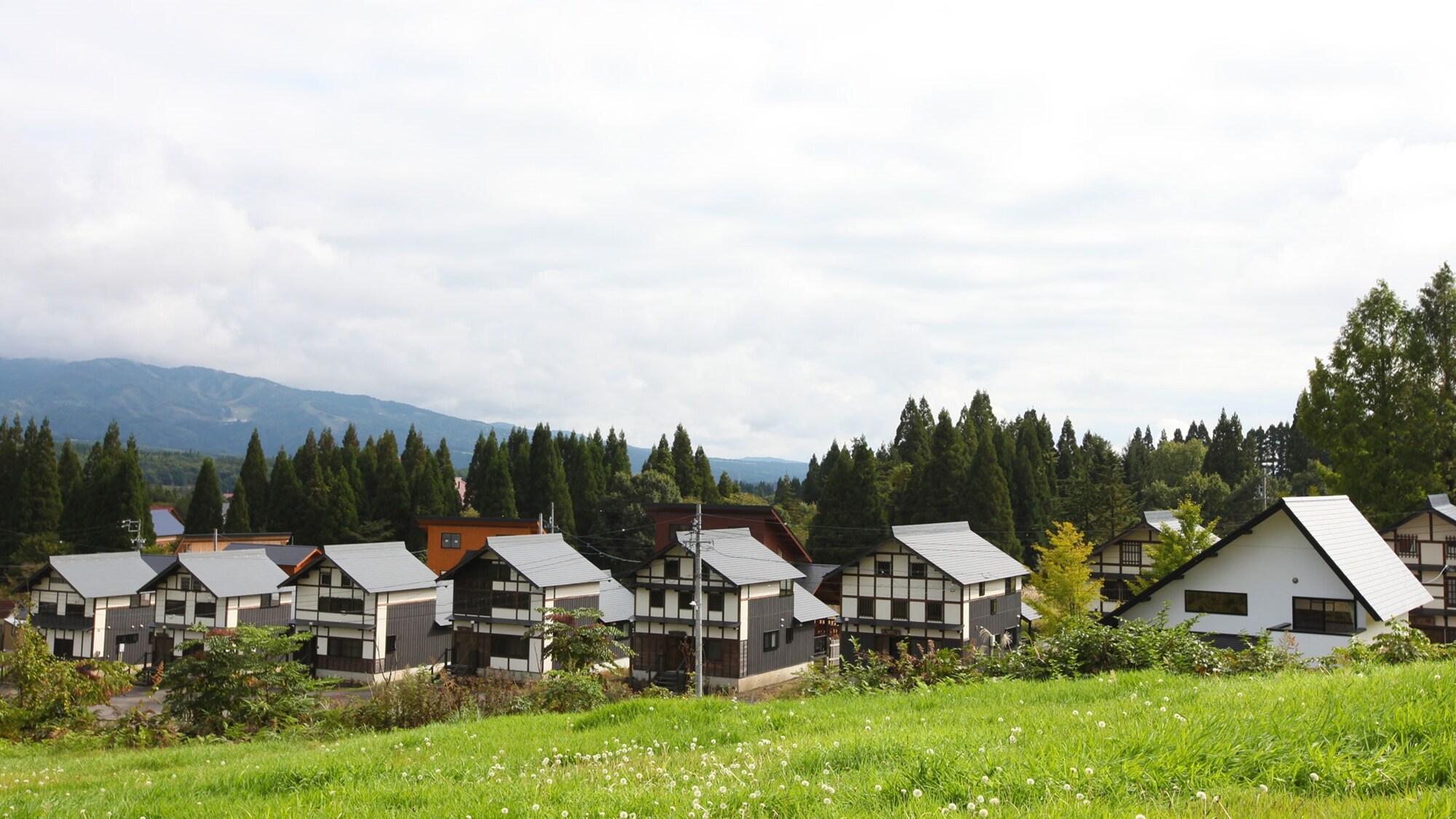 * Kazumisha Hiruga的全景