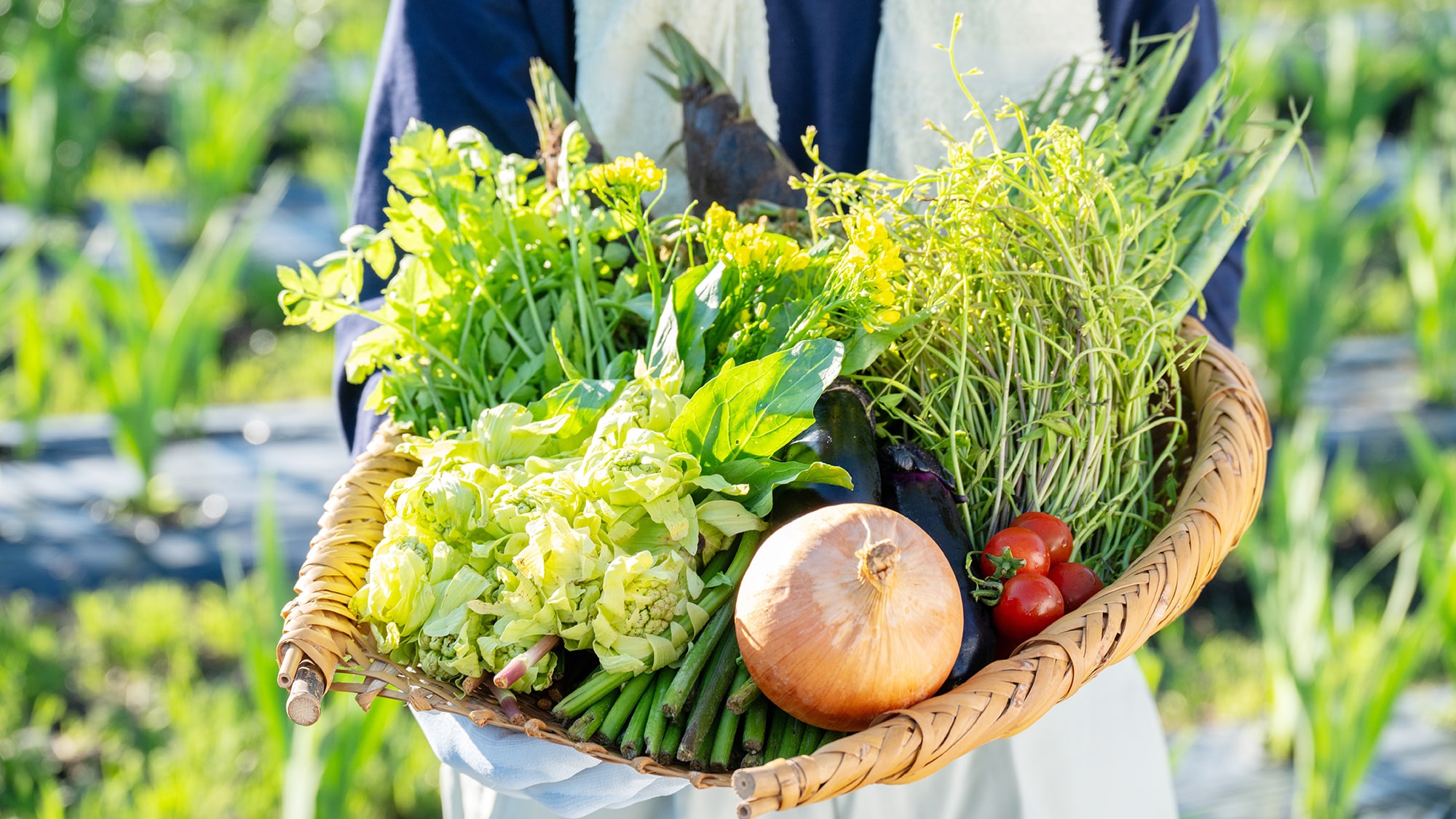 [Freshly picked vegetables]
