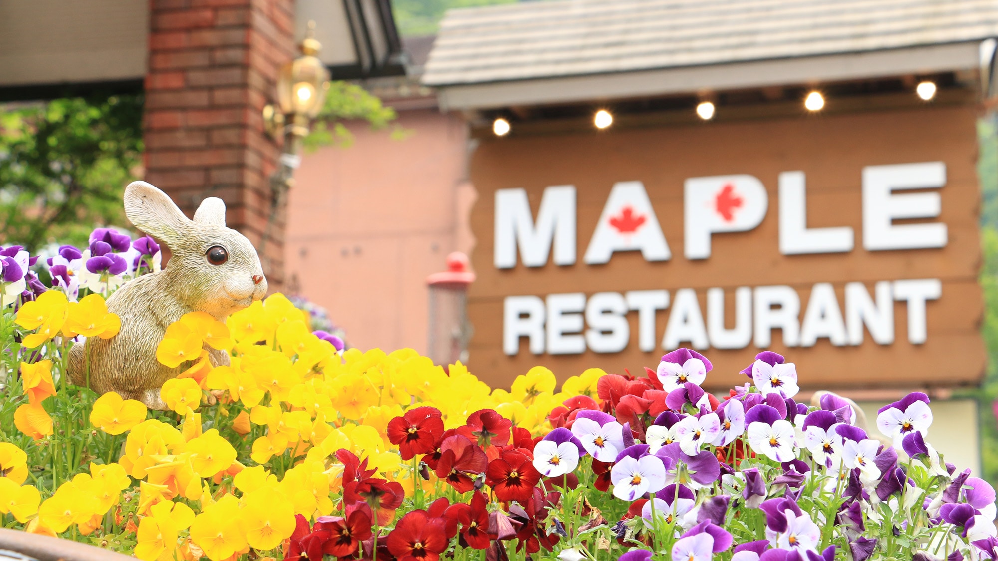 #Restoran Maple