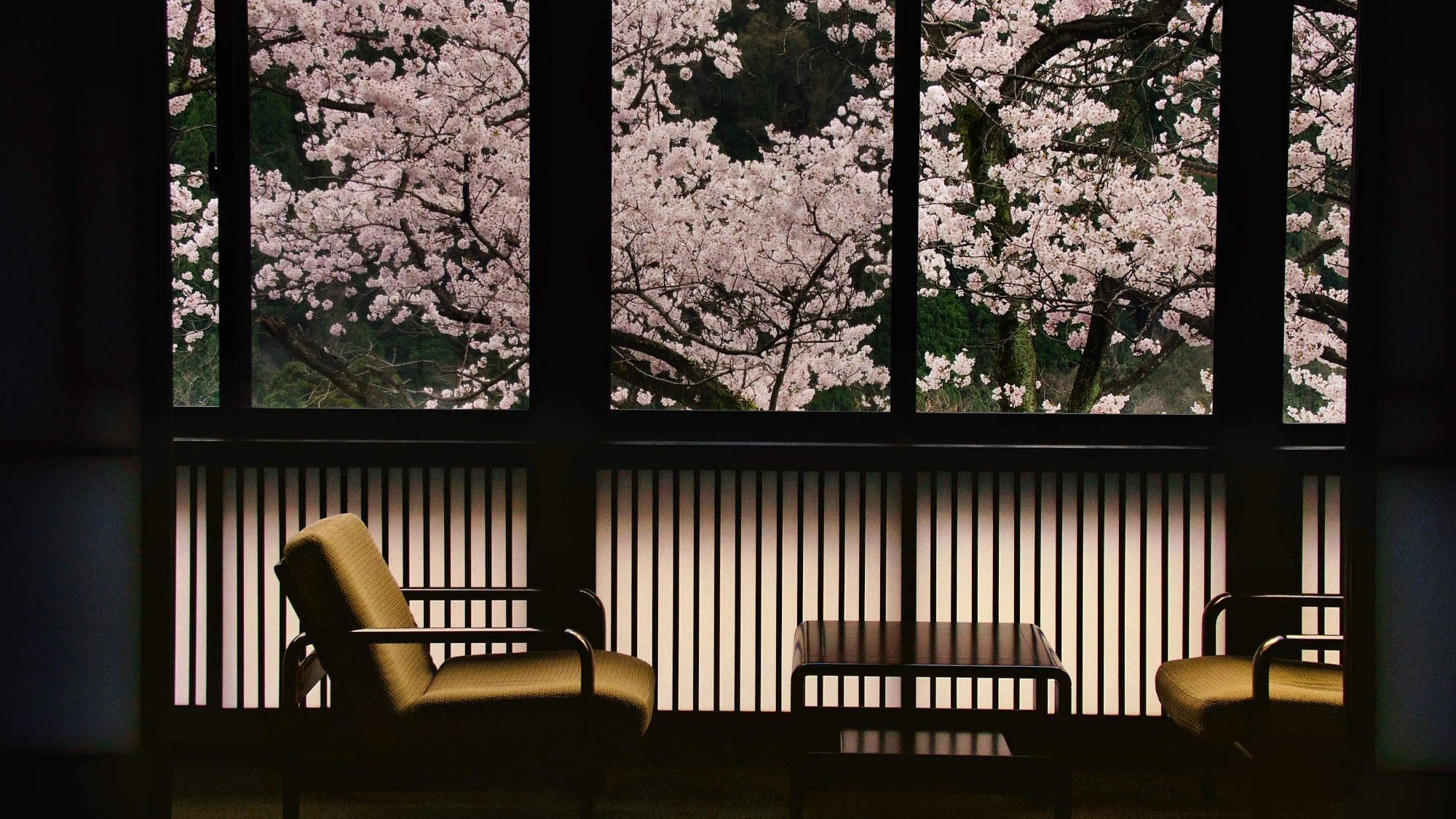 ・View of cherry blossoms from the room of "Japanese modern room 10 tatami mats" (the best time to see is early April)