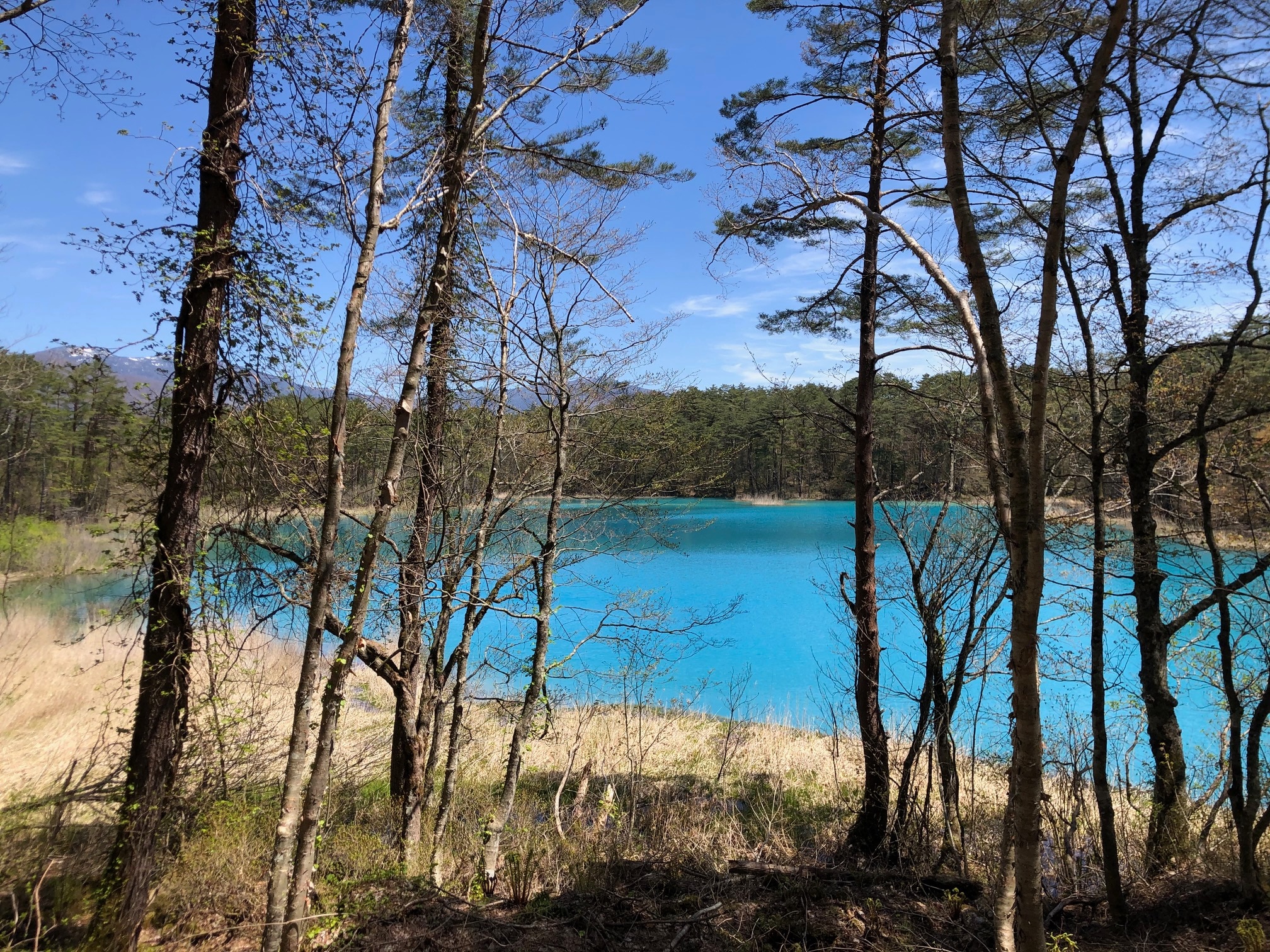 Goshikinuma Lakes and Bentenuma