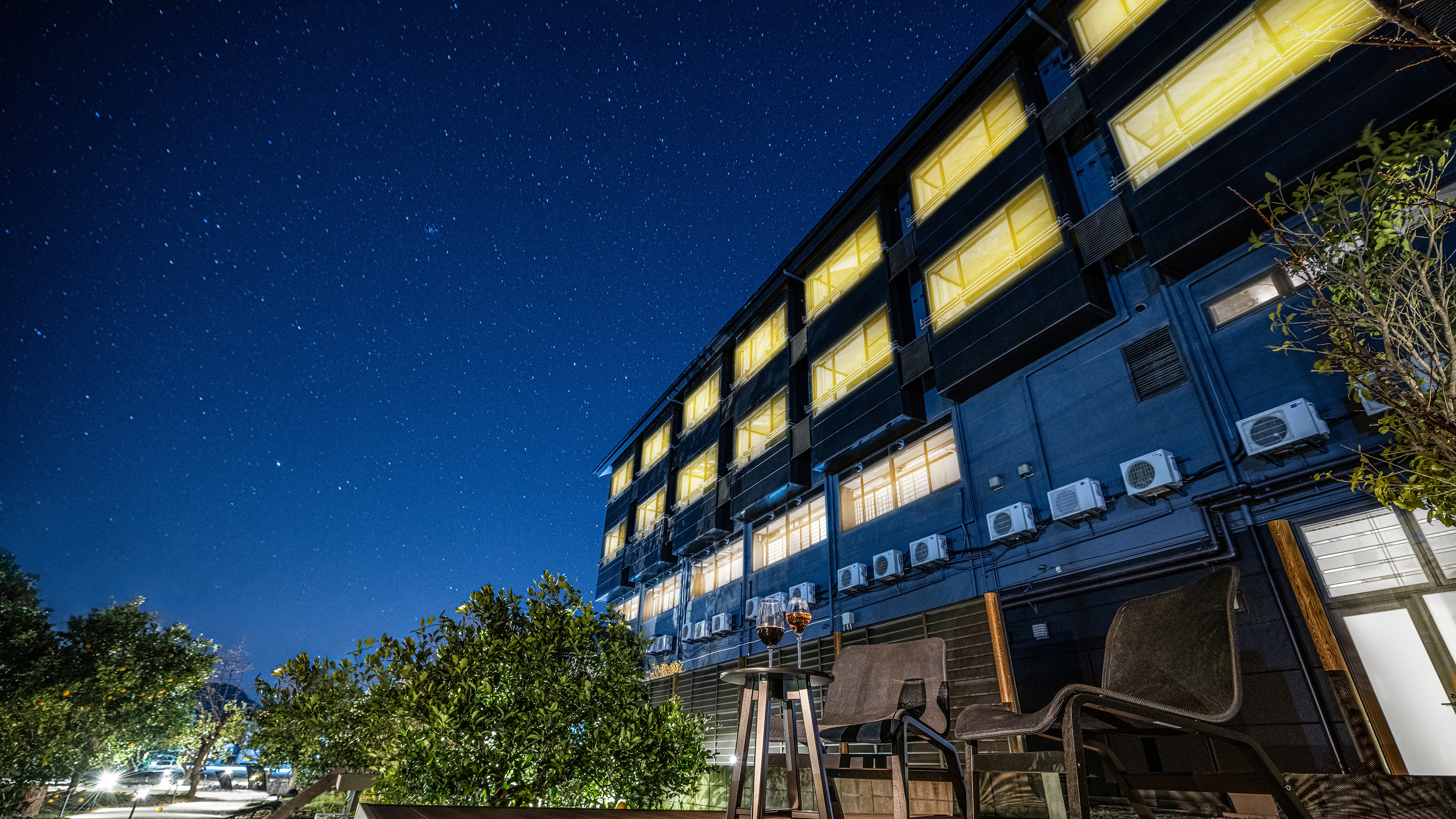 Exterior (garden at night)