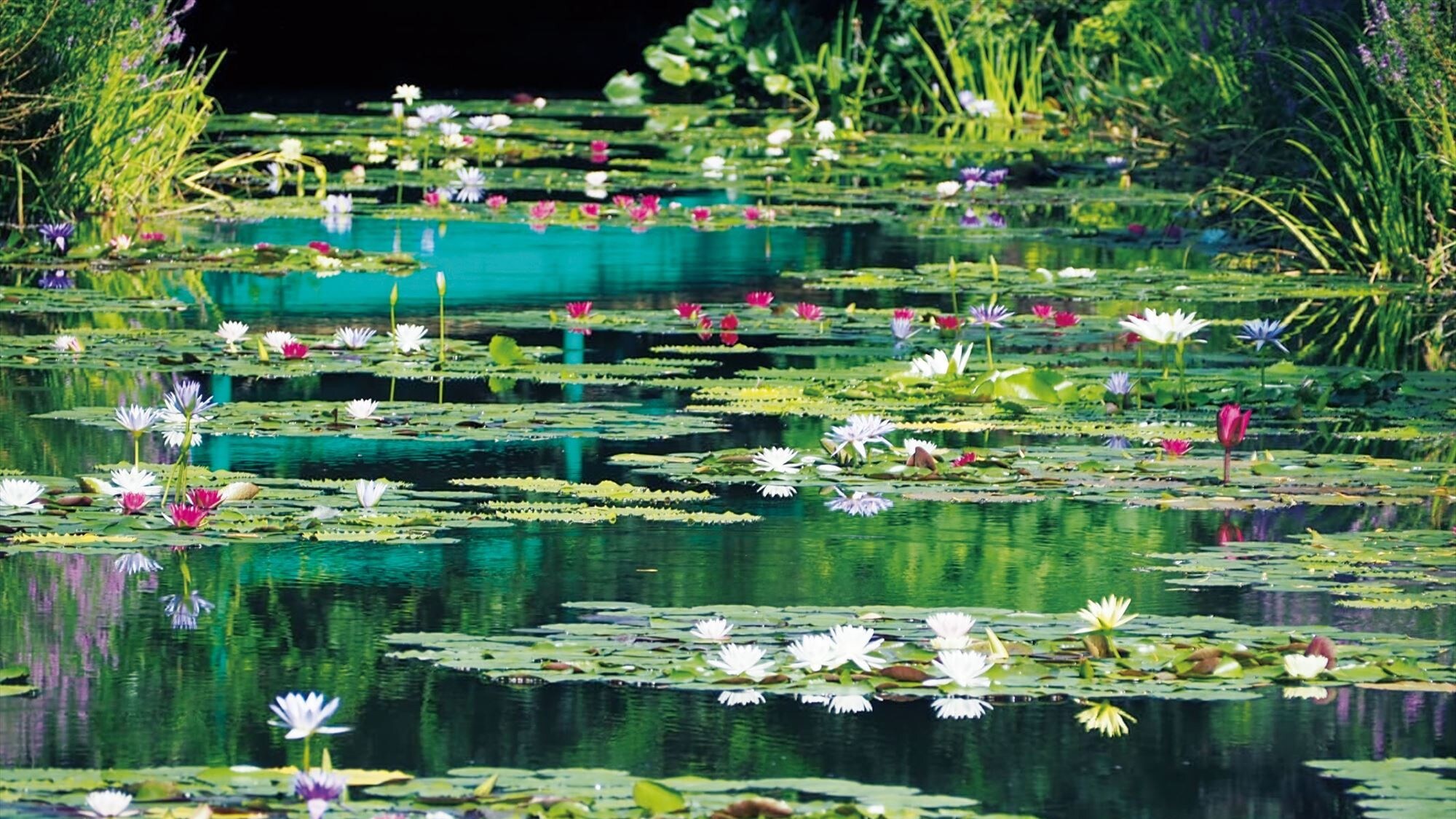 Kitagawa Village "Monet's Garden" Marmottan - Plan with admission ticket