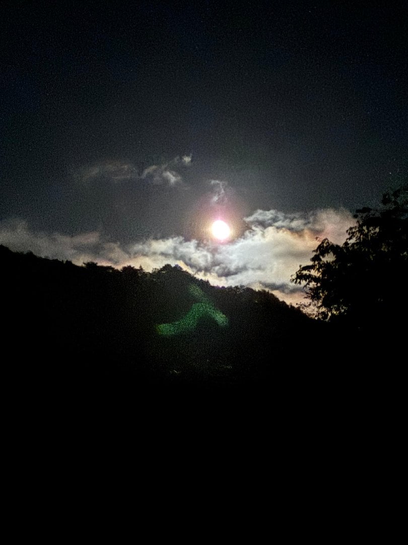 910B107A-2FF7-4586-B0A3-12DE715340EF.jpeg
