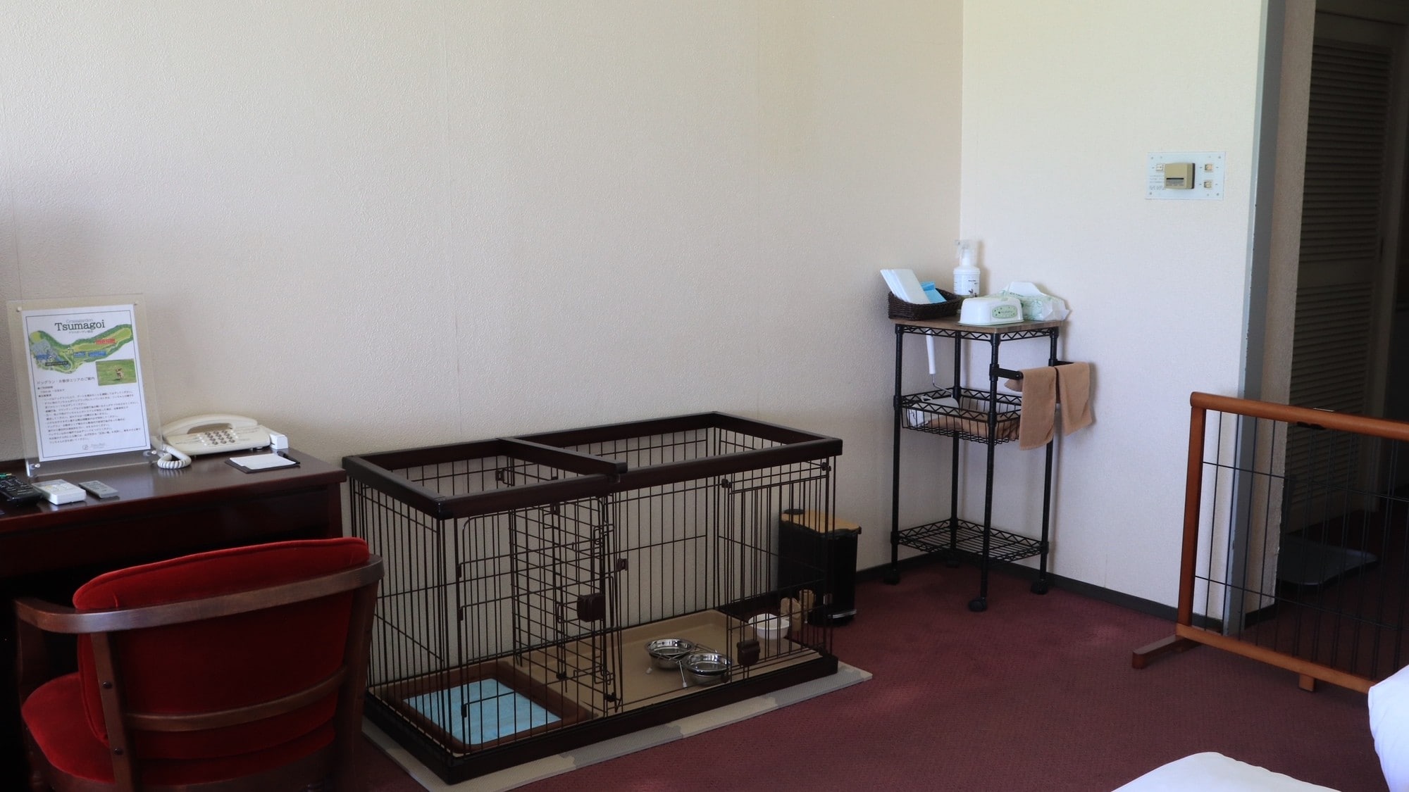 Dog Friendly Room