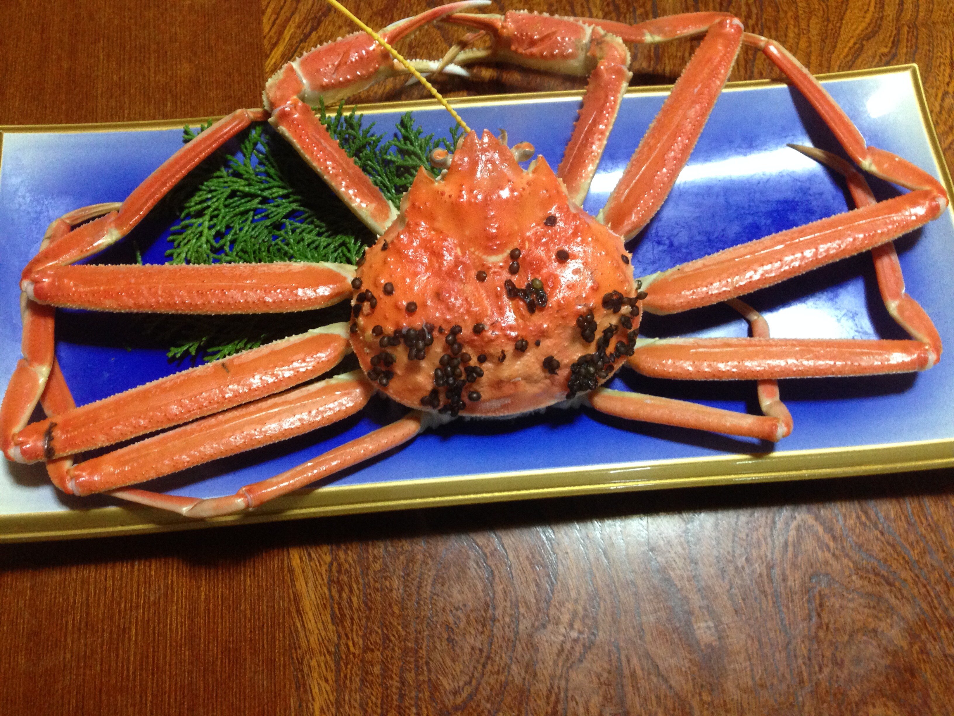 ปูหิมะทั้งตัว