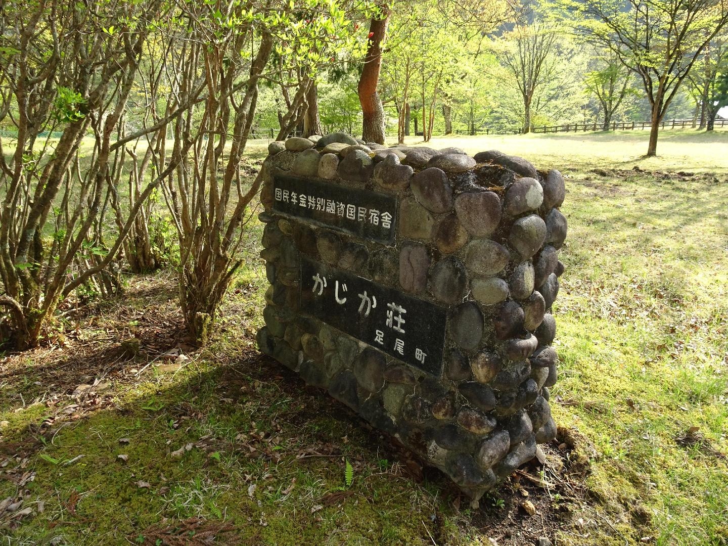 DSC04185.JPG