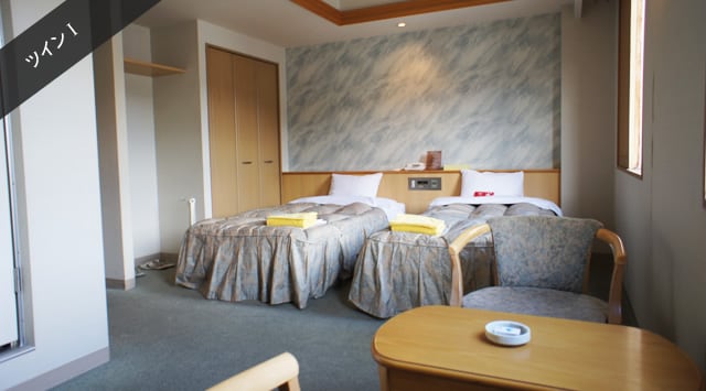 Room: Twin room