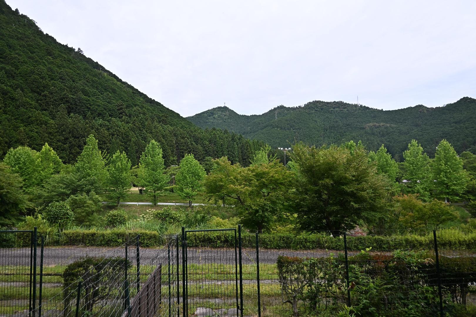 69E440EB-1876-4F84-B80D-4FA0402B92D7.jpeg