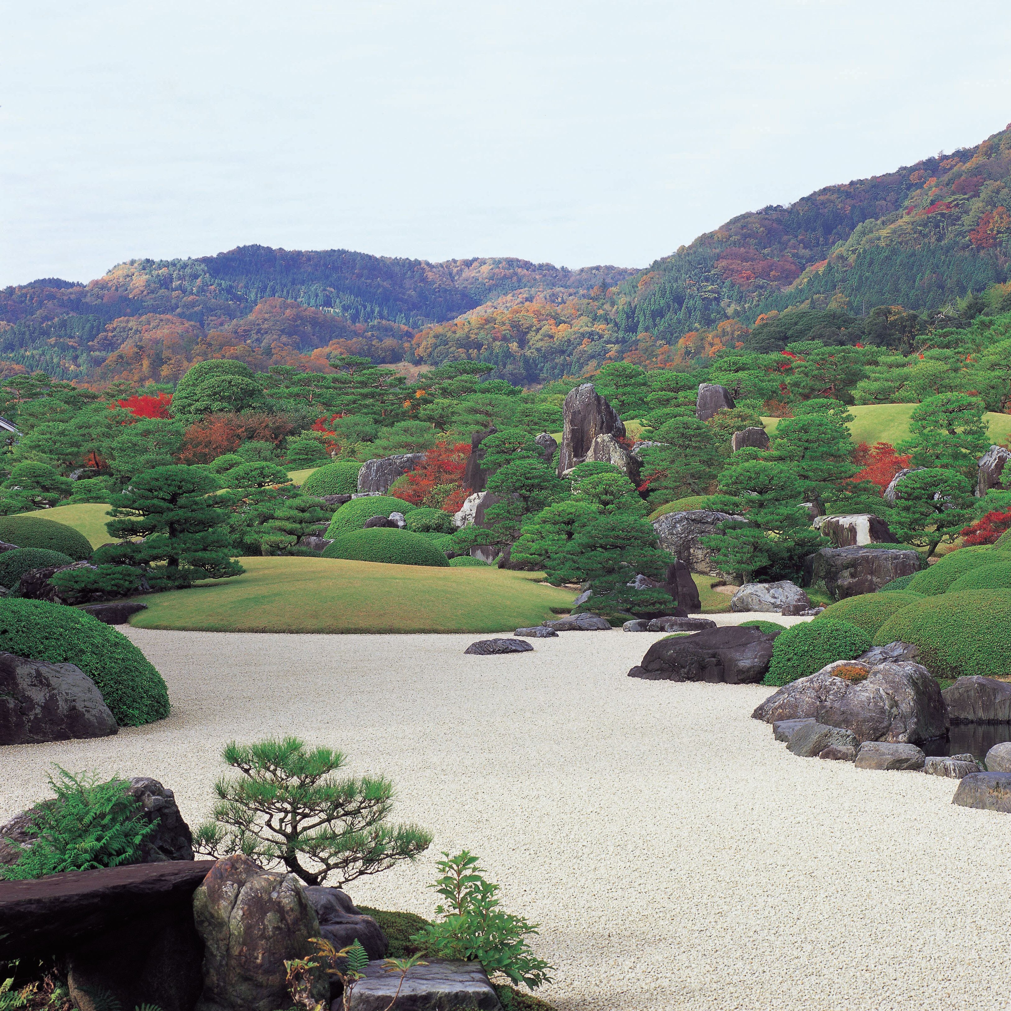 Adachi Museum of Art (Autumn Garden) ①