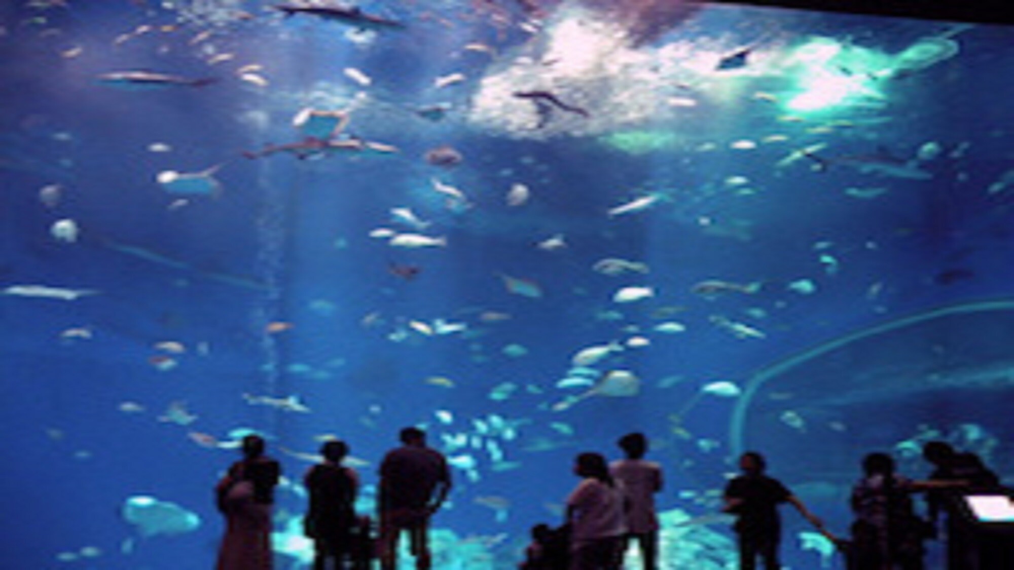 大洗水族馆距离酒店有 7 分钟车程。