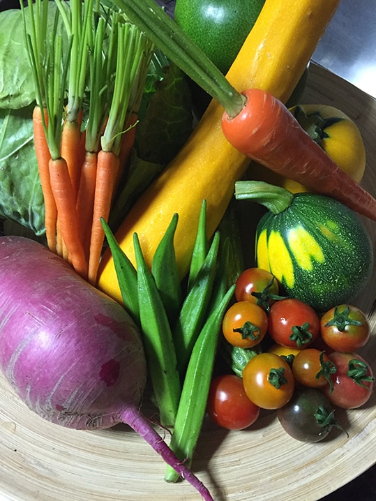 Tateshina vegetables 2