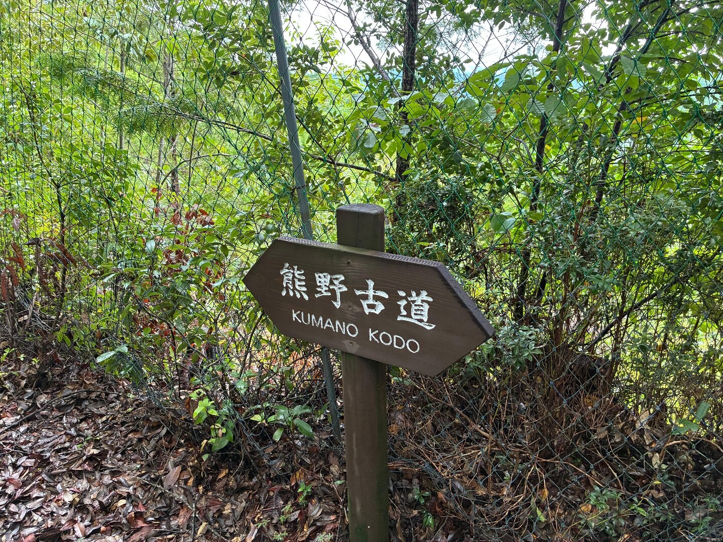 F3A54596-D84F-40F5-B204-F2537598E769.jpeg