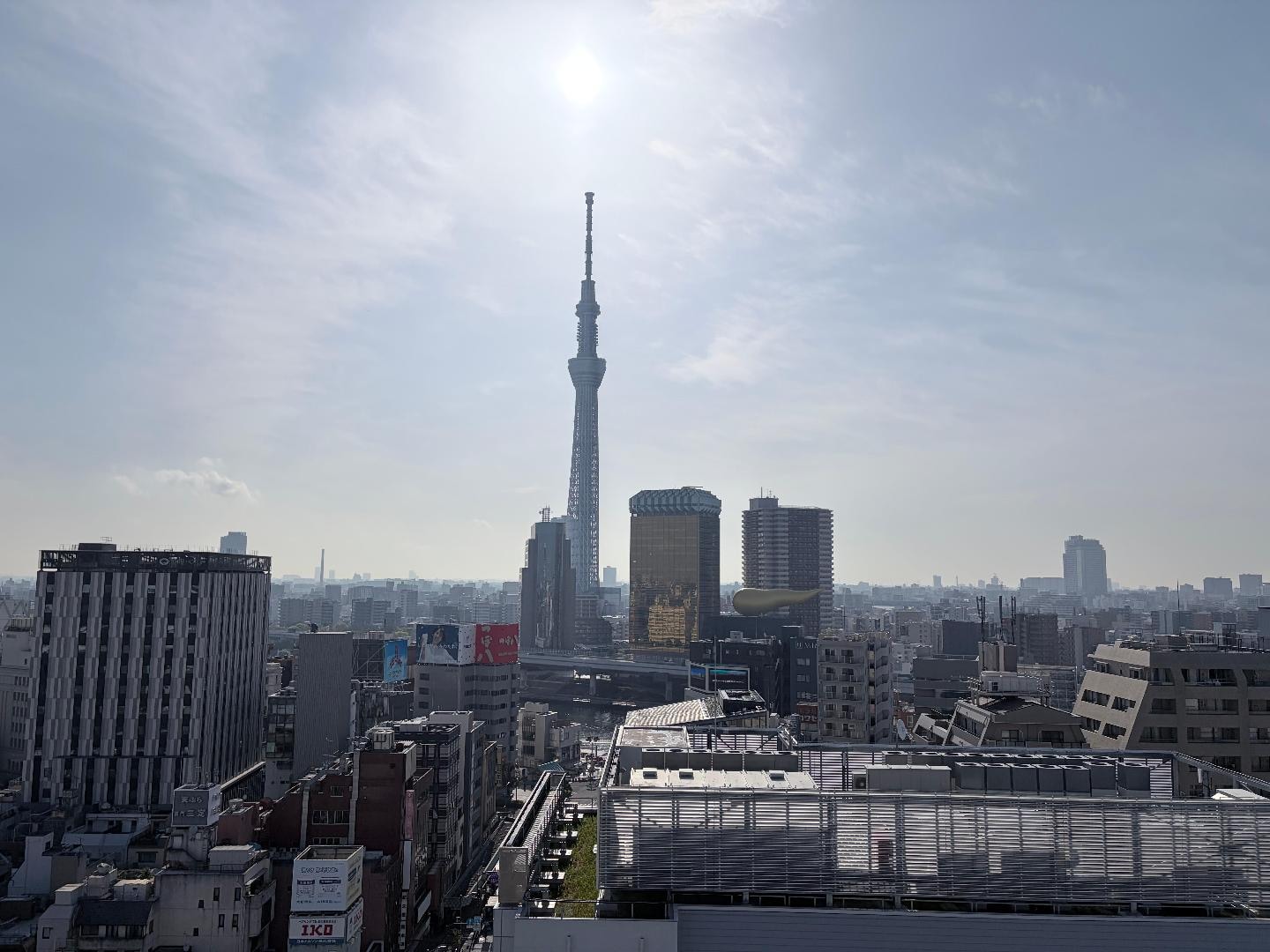 IMG_5240.jpeg