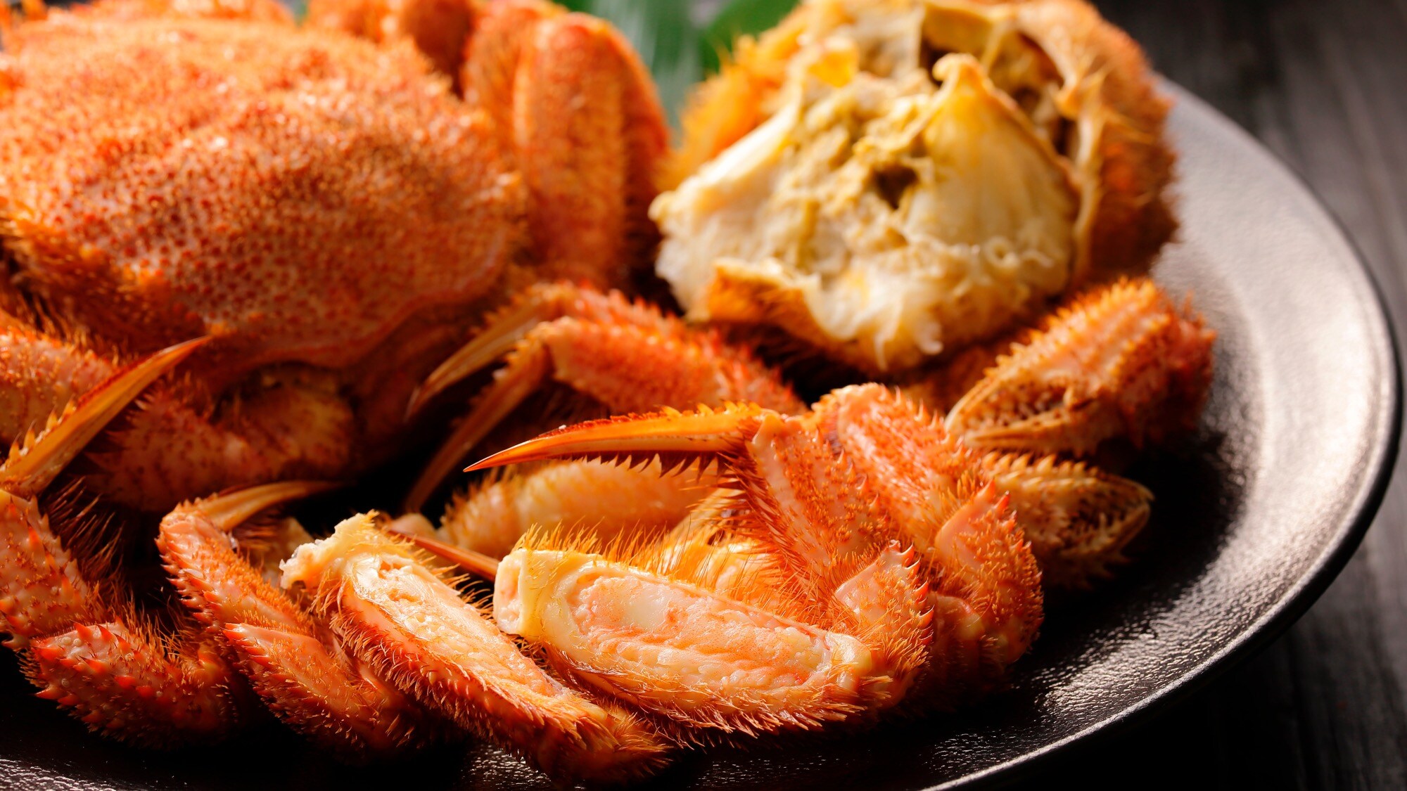 Cua lông nguyên con