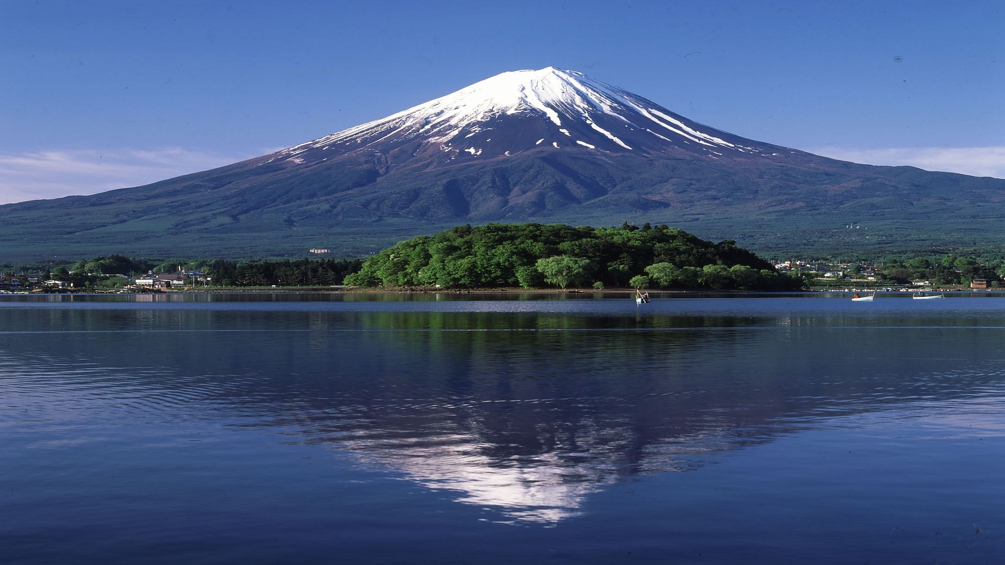 ■ Mt. Fuji and Lake Kawaguchi <Spring> (Photo courtesy of Lake Kawaguchi, Tourism Division)