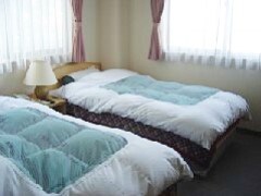 Western-style room (twin)