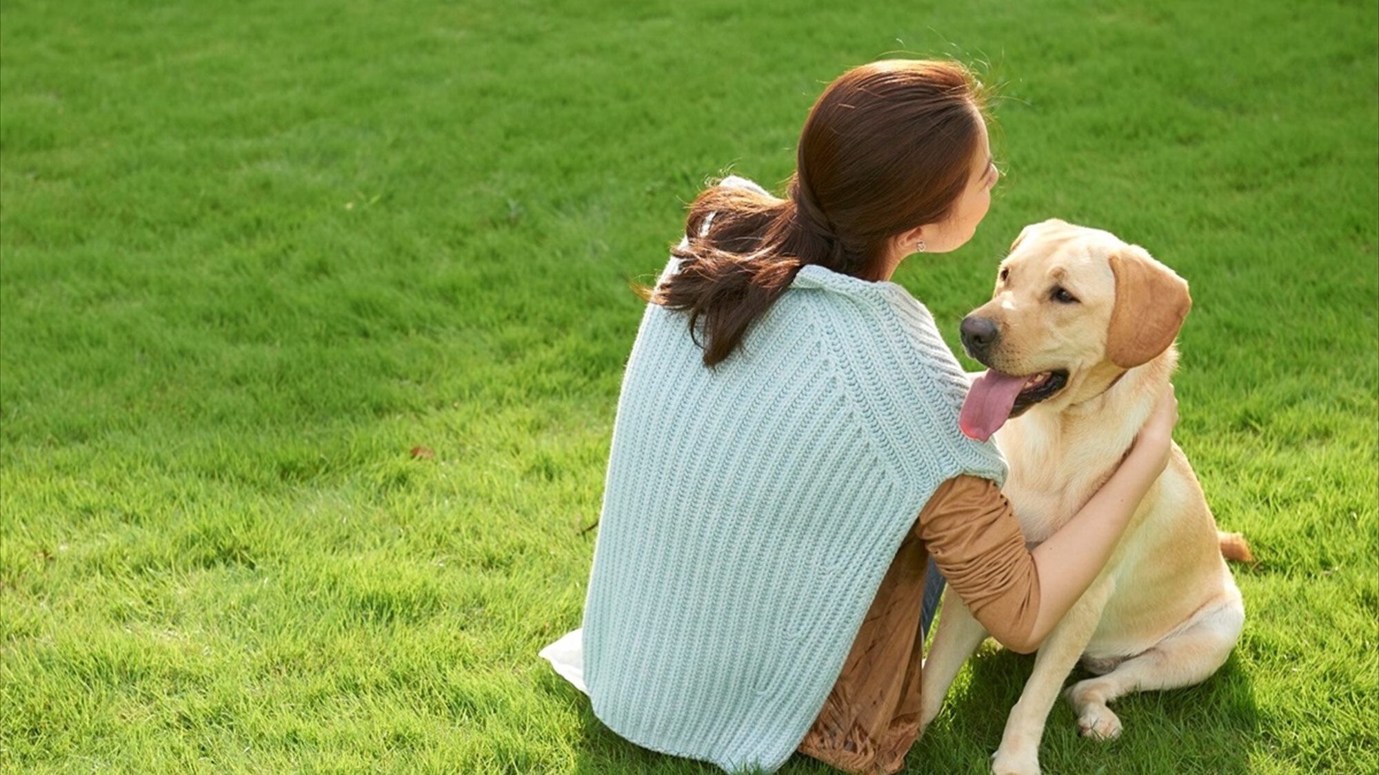 Enjoy a relaxing time while watching your dog running around on the natural grass that is gentle on your dog's feet.