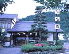 Appearance image