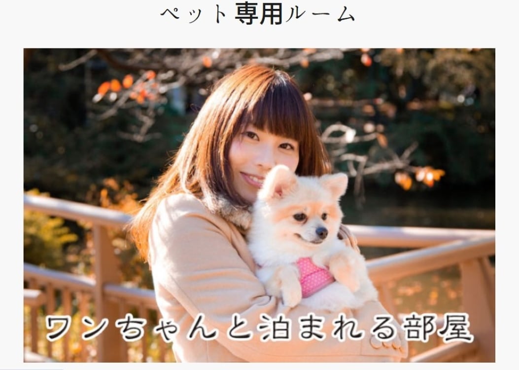 [Dog-friendly accommodations available] Pet-friendly plans are also available.