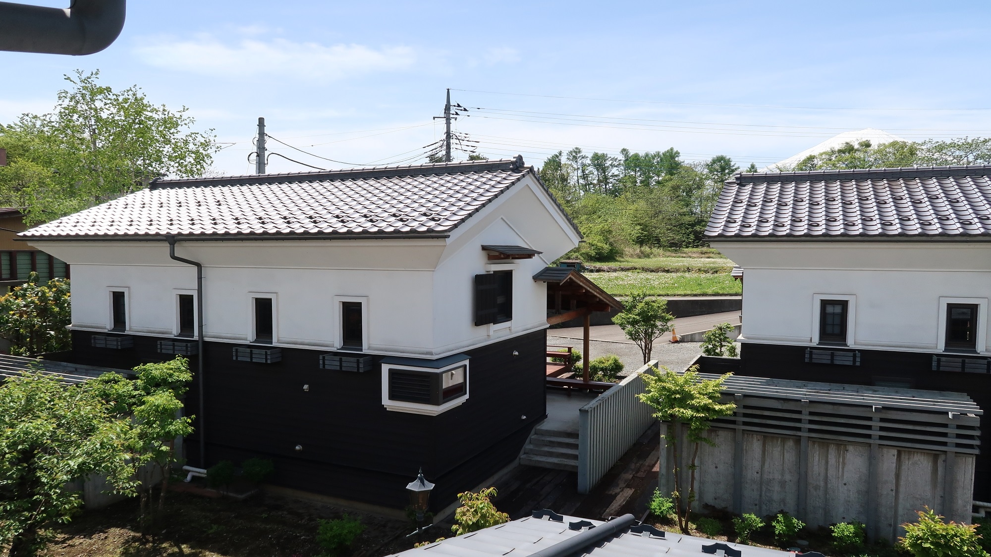 (Type 1) and Mt. Fuji