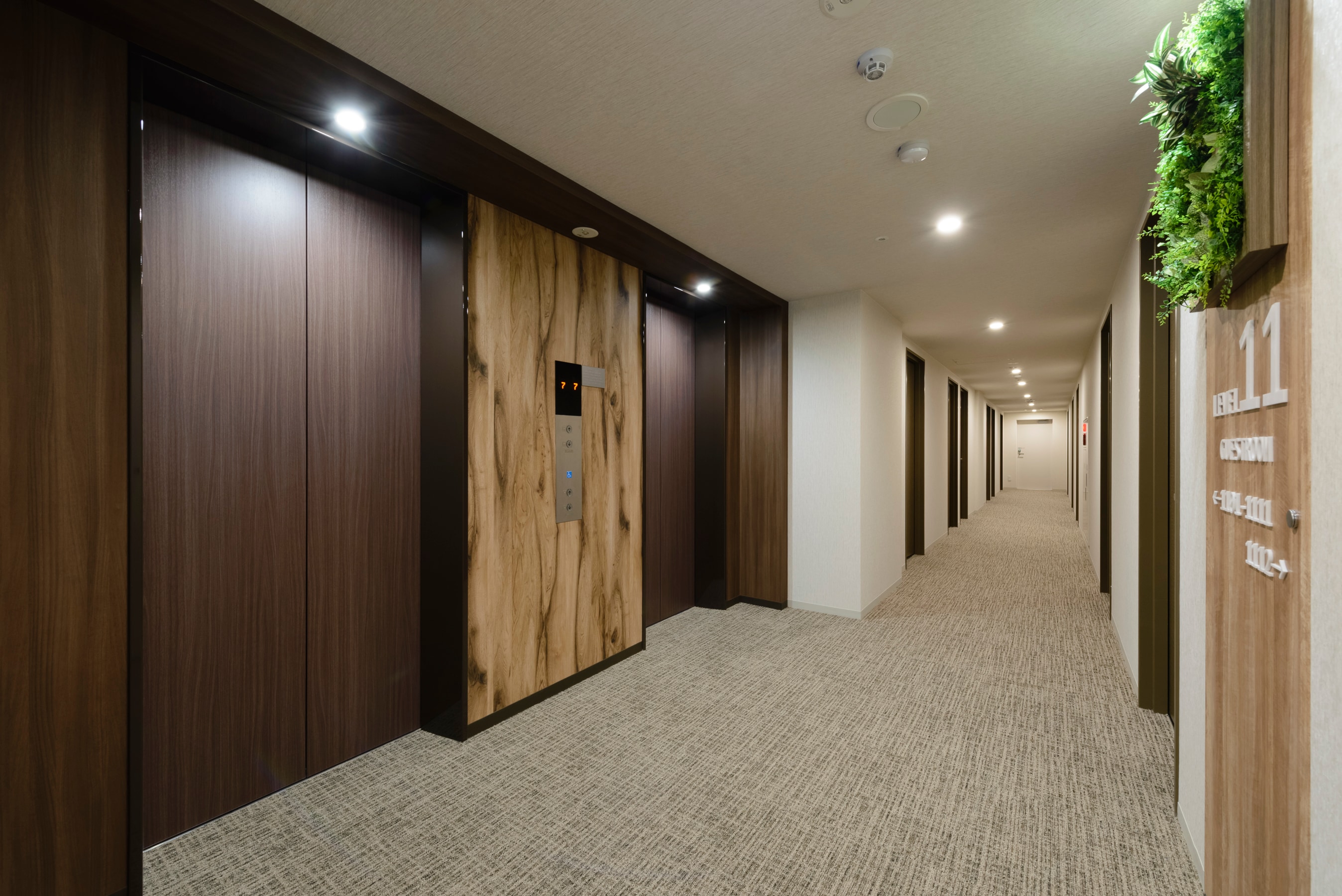 Guest room floor corridor