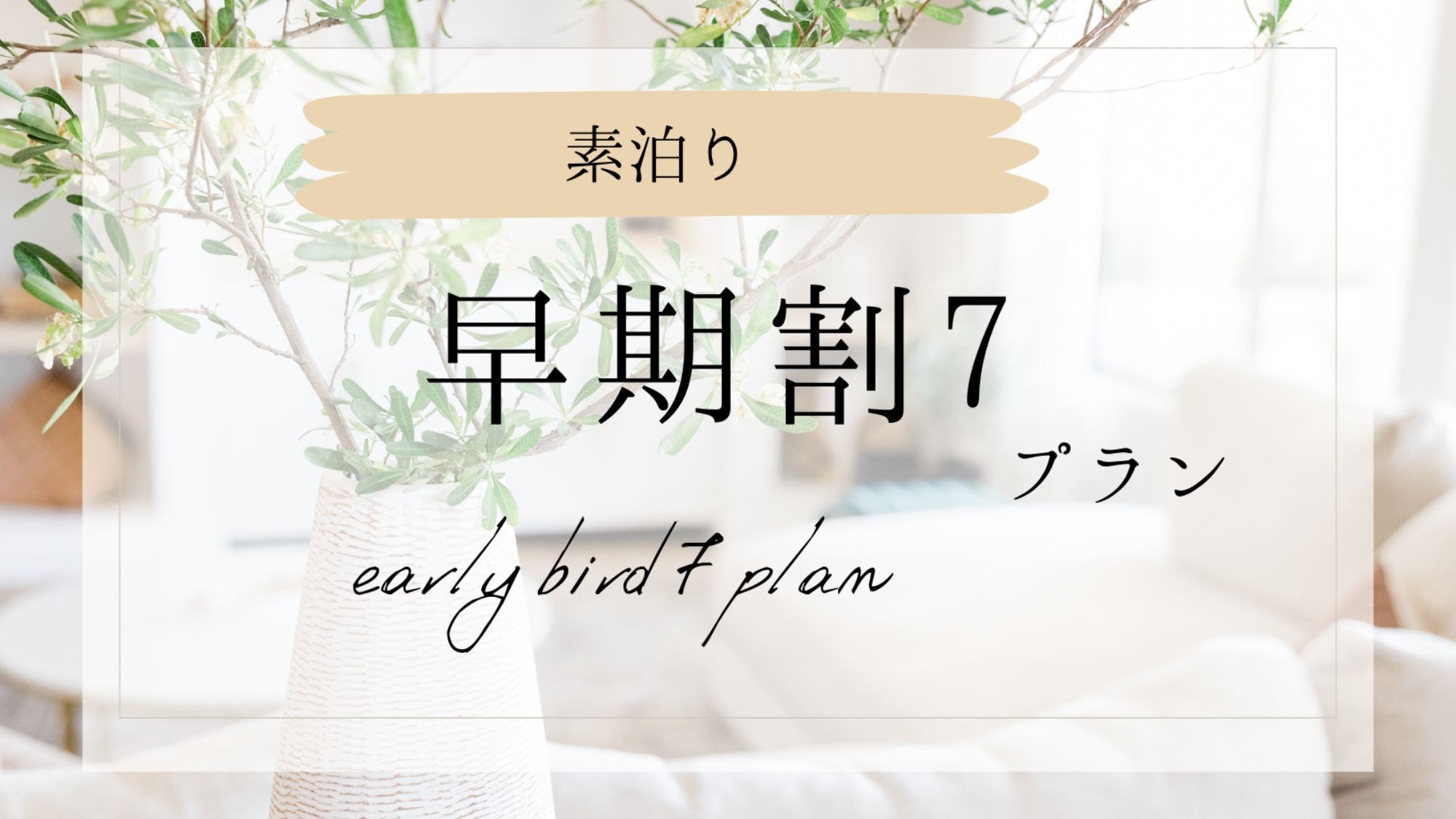 No meals early bird 7 plans
