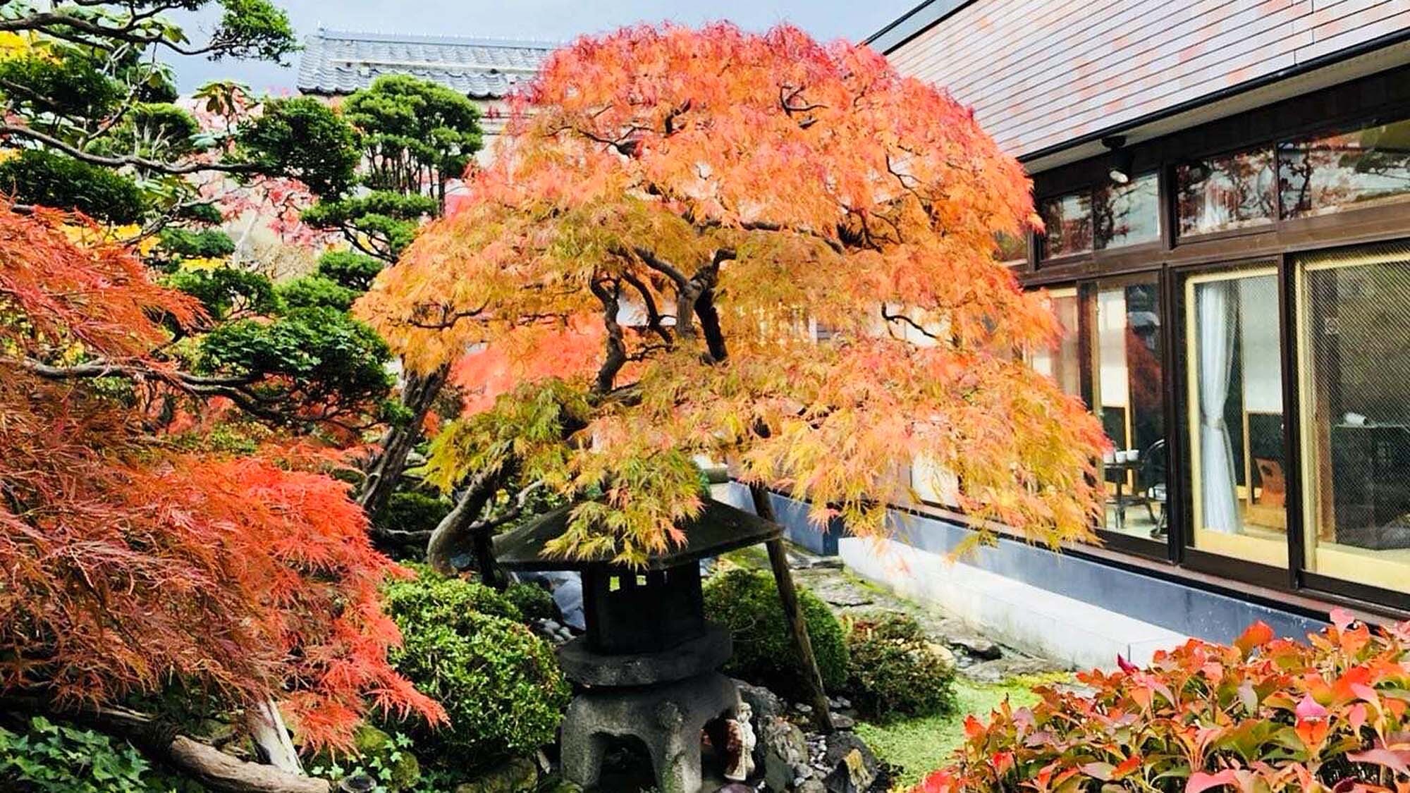 ・[Courtyard] The garden's different expressions depending on the season will soothe your soul.
