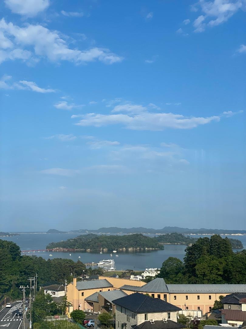 IMG_8801.jpeg